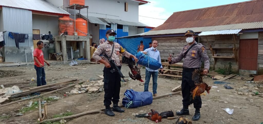 IMG-20200407-WA0222 IMG 20200407 WA0222