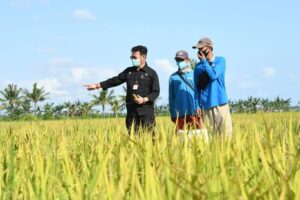 FB IMG 1602849757806