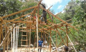 IMG 20201011 WA0394