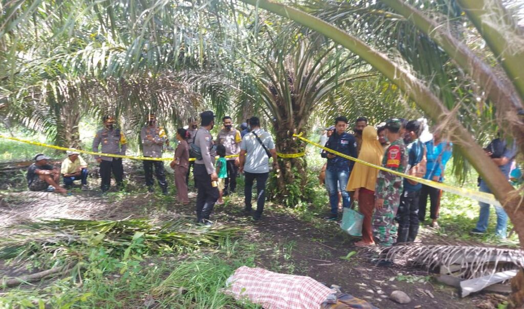 IMG-20210112-WA0122 IMG 20210112 WA0122