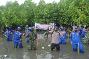 IMG 20210305 WA0159