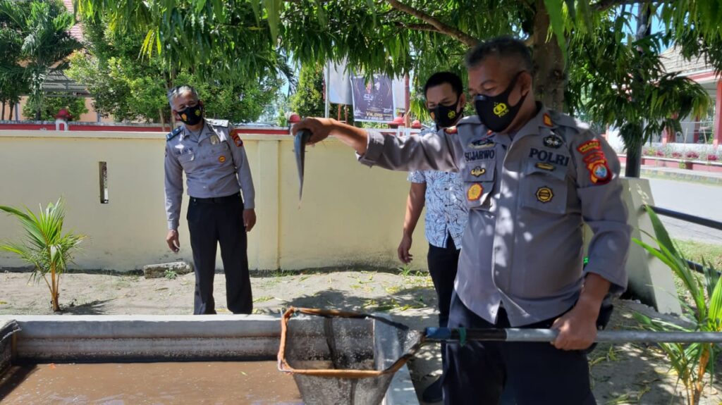 IMG-20210317-WA0196 IMG 20210317 WA0196