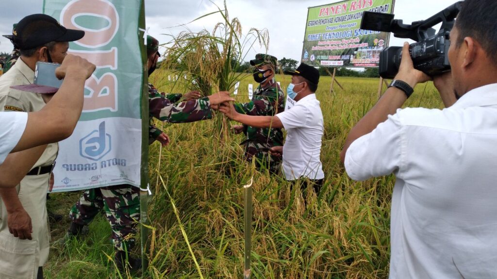 IMG-20210421-WA0156 IMG 20210421 WA0156