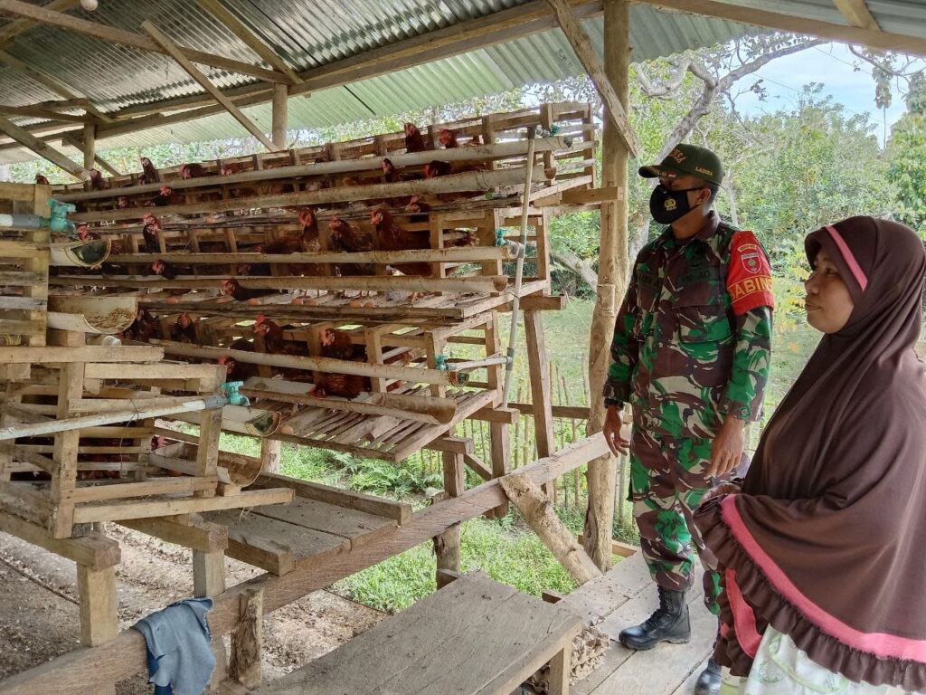 IMG-20210728-WA0097 IMG 20210728 WA0097