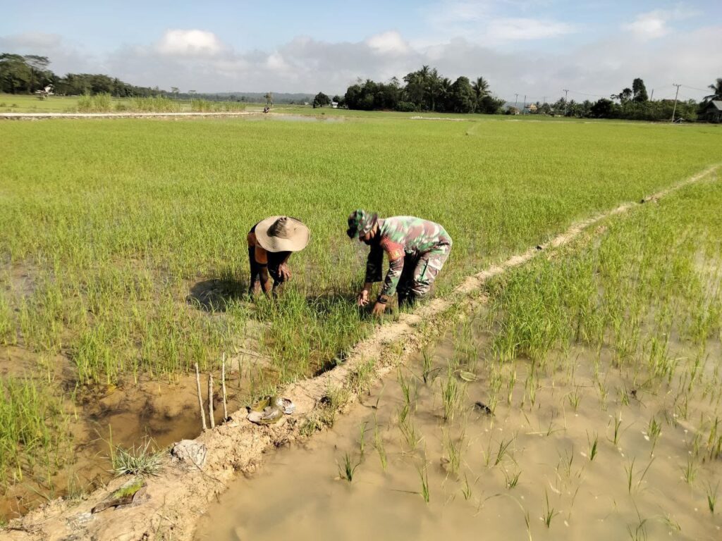 IMG-20210812-WA0050 IMG 20210812 WA0050