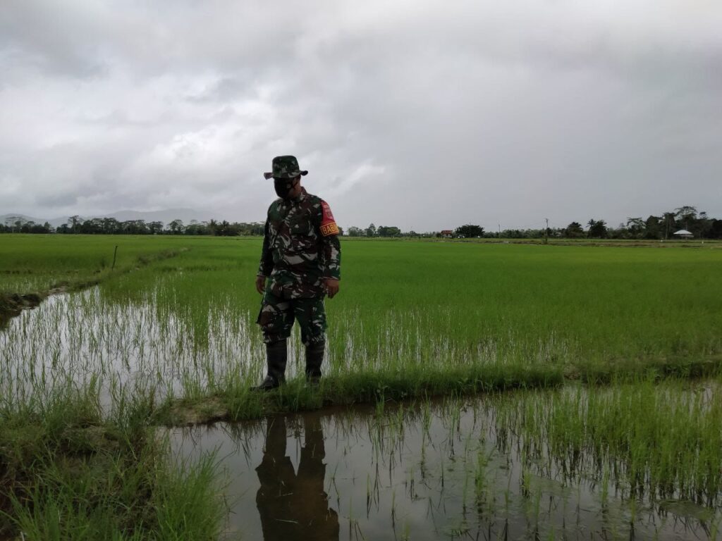 IMG-20210813-WA0097 IMG 20210813 WA0097