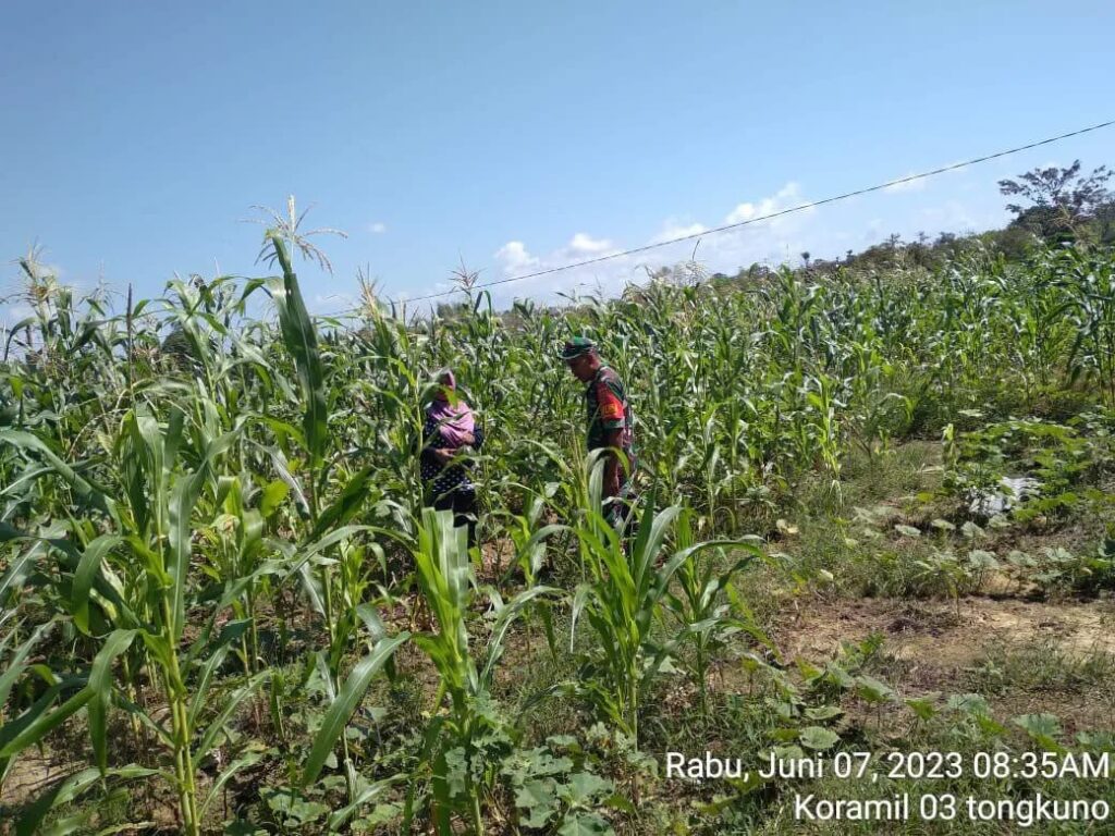 IMG-20230607-WA0098 IMG 20230607 WA0098