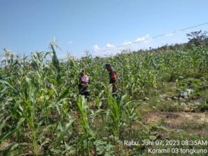 IMG 20230607 WA0098