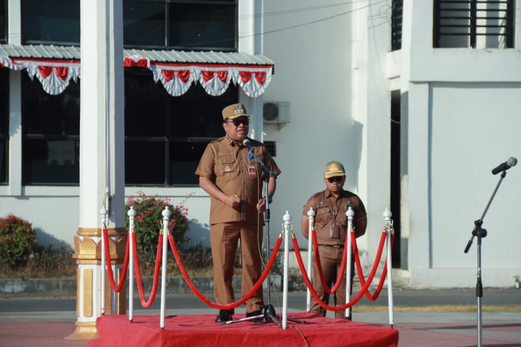 1000380675 1000380675