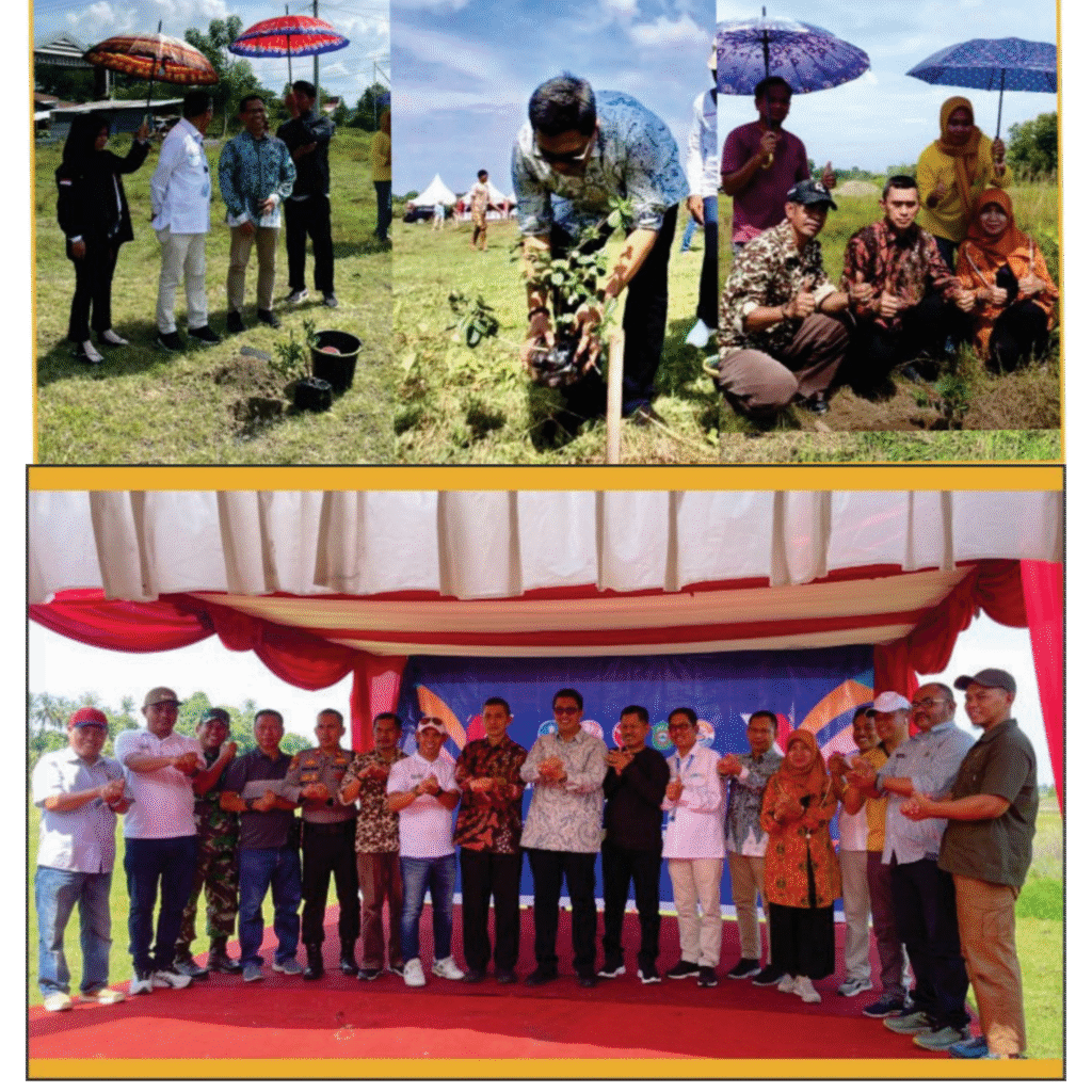 Picsart 25 11 30 23 37 39 246