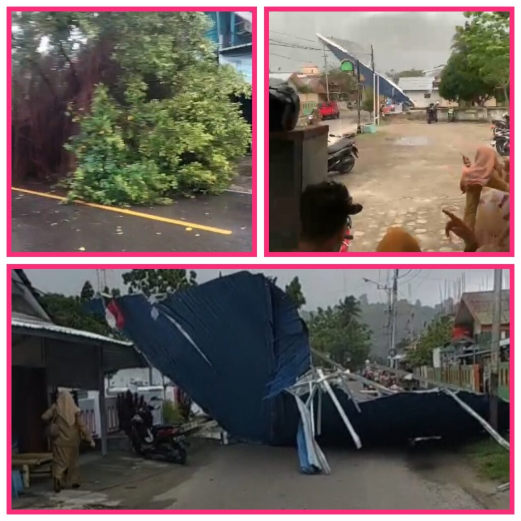 GridArt 20260106 172955530