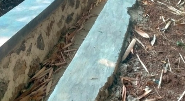 IMG 20260722 151301