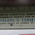 IMG 20260731 202531