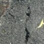IMG 20260823 173323