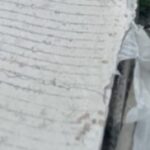 IMG 20261023 230844